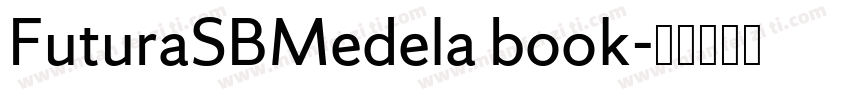 FuturaSBMedela book字体转换